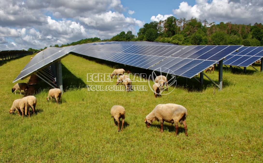 Strateško sodelovanje med Egret Solar New Energy Technology in Smart Concept Energy